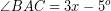 \[ \angle BAC = 3x - 5^{o} \]