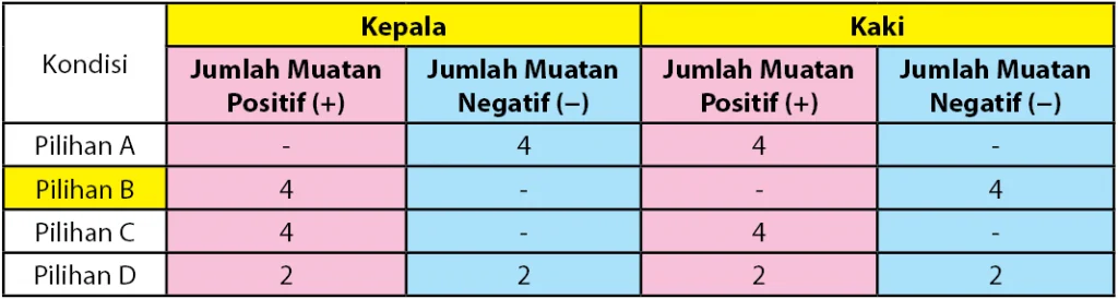 Jumlah muatan pada kepala dan kaki elektroskop