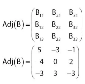 Matriks Adjoin B
