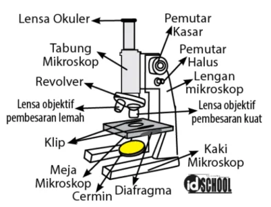Bagian-bagian Mikroskop
