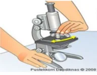 Cara menggunakan mikroskop