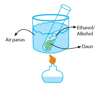 uji coba percobaan sach