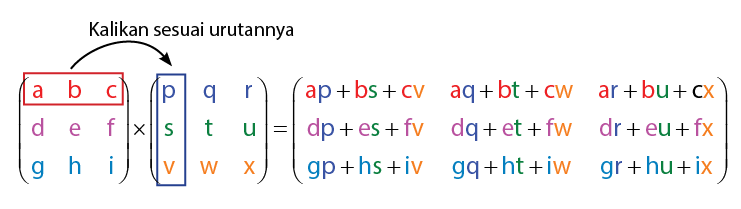 perkalian matriks 3 x 3