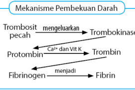 index of wp content uploads 2018 06 index of wp content uploads 2018 06