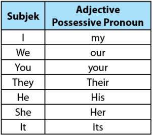 Adjective Possessive Pronoun