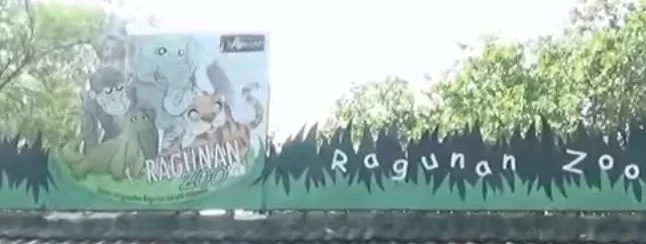 Kebun Binatang Ragunan