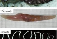 Index Of Wp Content Uploads 2019 06