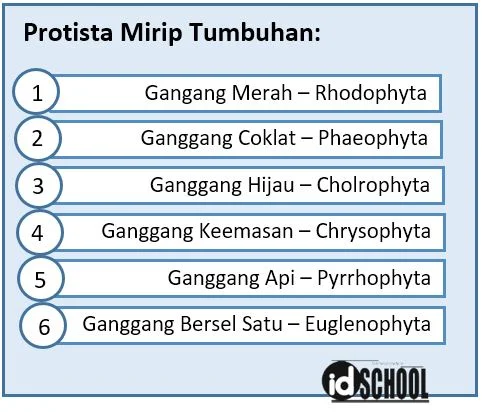 Protista Mirip Tumbuhan