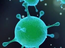 Virus yang Merugikan