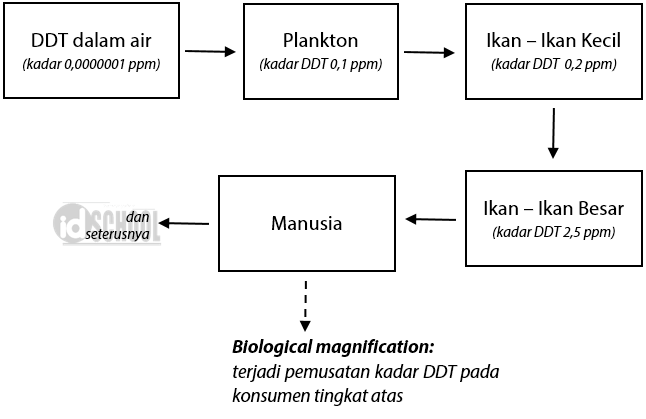 Biological Magnification