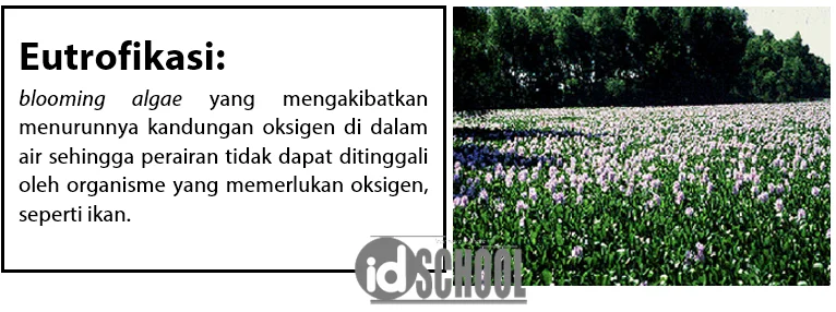 Eutrofikasi dan Bentuk Pencemaran Air Lainnya