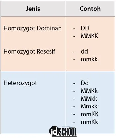 Contoh Homozigot dan Contoh Heterozigot
