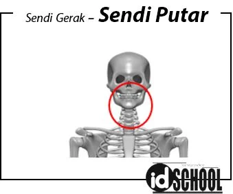Sendi Putar