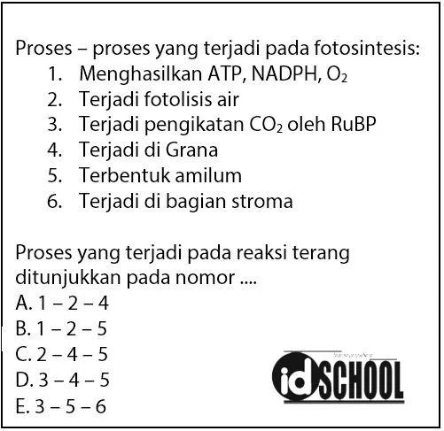 Contoh Soal Perbedaan Reaksi Terang dan Gelap