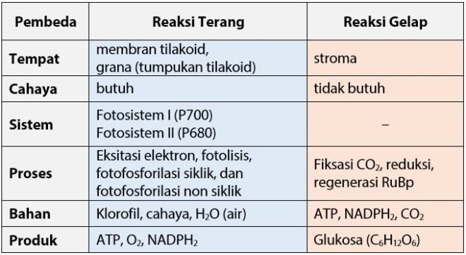 Perbedaan Tabel Partisi Mbr Dan Gpt Serta Cara Mengubahnya Pelandox 1200