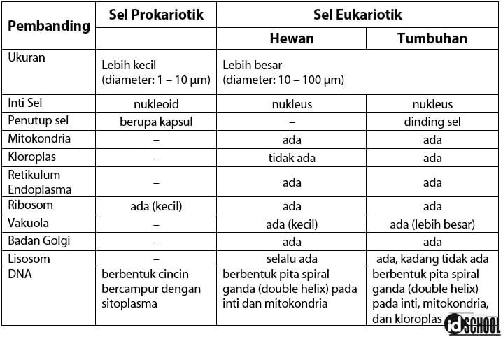 Tabel perbedaan Sel Prokariotik dan Eukariotik