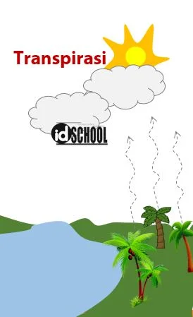 Transpirasi