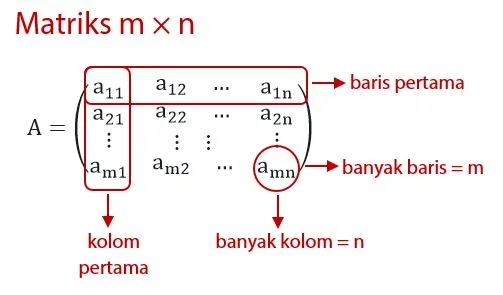 Baris dan Kolom pada Matriks