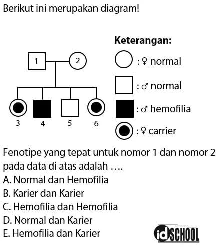 Contoh Soal Penurunan Sifat Hemofilia