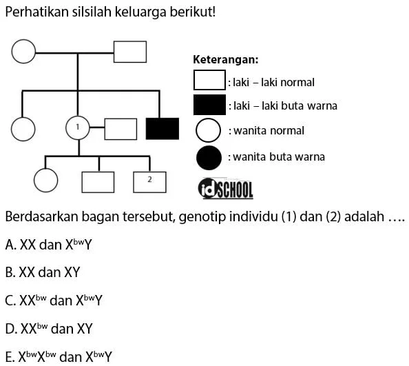 Contoh Soal Persilangan Sifat Buta Warna