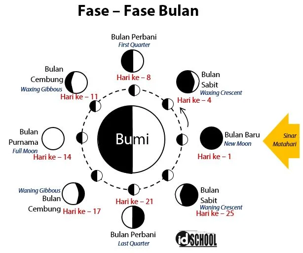 Fase-Fase Bulan