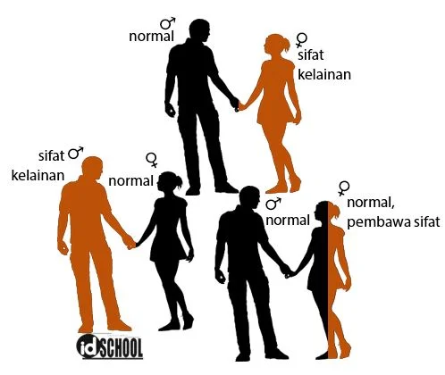 Penyakit Keturunan yang Terpaut Gonosom (Kromosom X dan Kromosom Y)