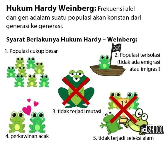 Syarat Berlakunya Hukum Hardy Weinberg