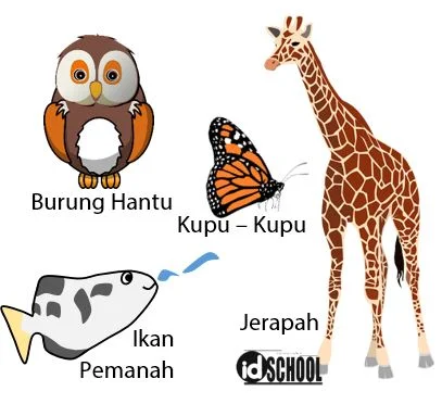 Kumpulan Hewan dan Ciri Khususnya