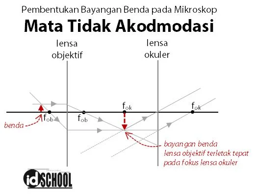 Proses Pembentukan Bayangan pada Mikroskop dengan Mata Tidak Akomodasi