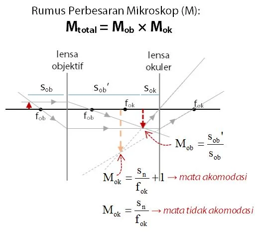 Rumus Perbesaran pada Mikroskop