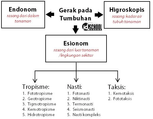 Gerak pada Tumbuhan