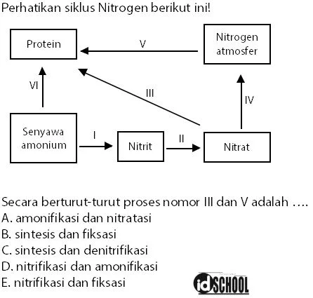 Contoh Soal Daur Nitrogen dan Pembahasannya