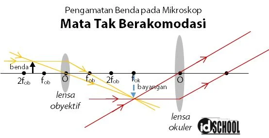 Pembentukan Bayangan pada Mikroskop untuk Mata Tak Berakomodasi