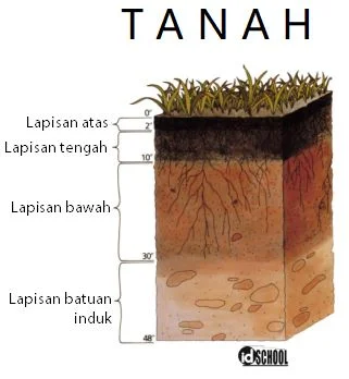 Jenis-Jenis Tanah di Indonesia dan Persebarannya
