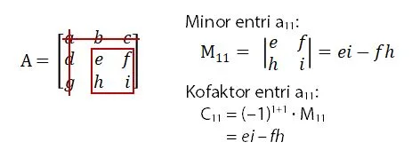 Minor dan Kofaktor Entri a11