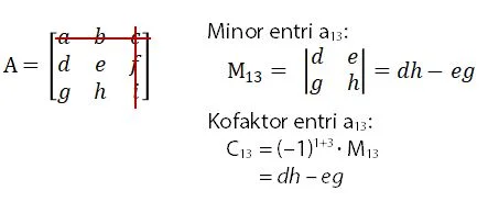 Minor dan Kofaktor Entri a13