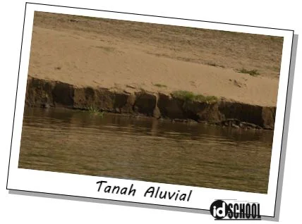 Tanah Aluvial