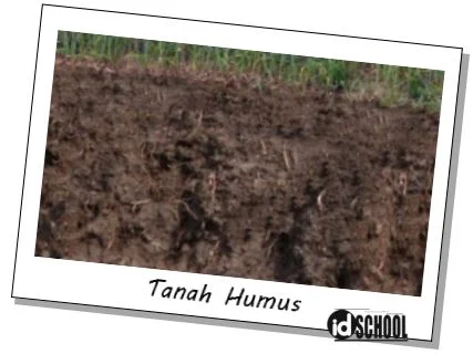 Tanah Humus