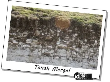 Tanah Mergel