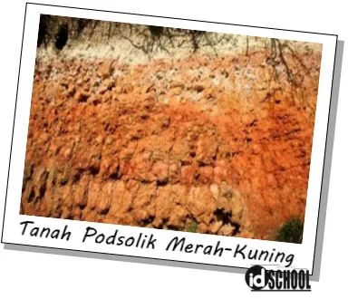 Tanah Podsolik Merah Kuning
