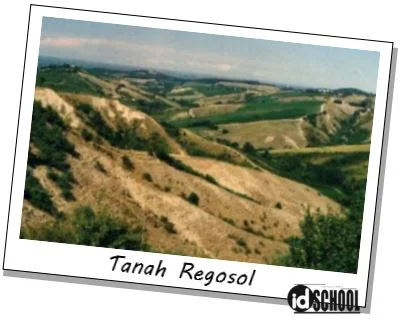 Tanah Regosol