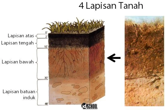 Bagian-Bagian Tanah