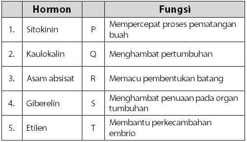 Kumpulan Soal Hormon Tumbuhan dan Fungsinya