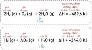 Mengenali Persamaan Termokimia Yang Merupakan Reaksi Eksoterm/Endoterm ...