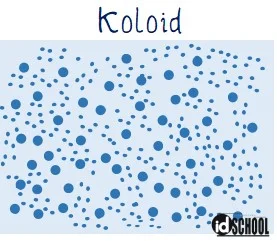 Koloid