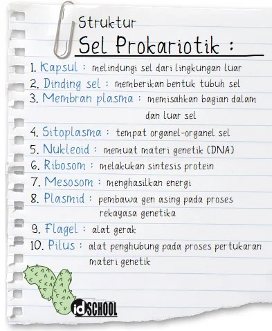 Fungsi Komponen Penyusun Struktur Sel Prokariotik