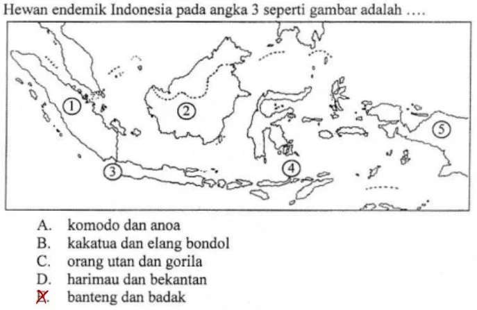 Hewan Endemik Indonesia di Wilayah Jawa