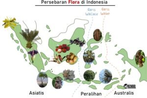 Persebaran Flora Di Indonesia Pada 3 Wilayah – Idschool.net