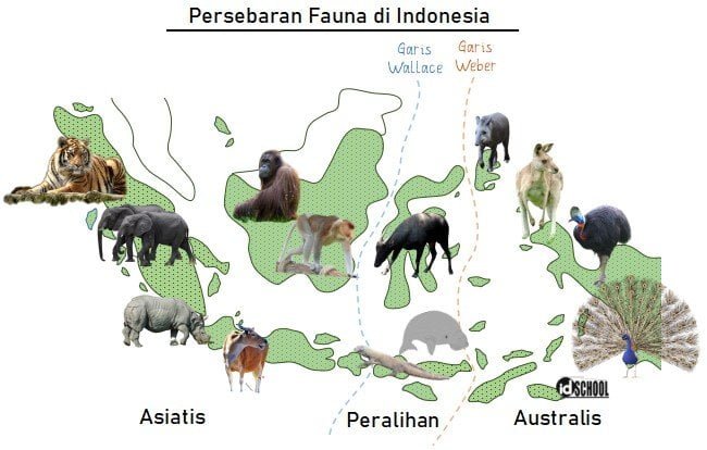 Persebaran Hewan di Indonesia