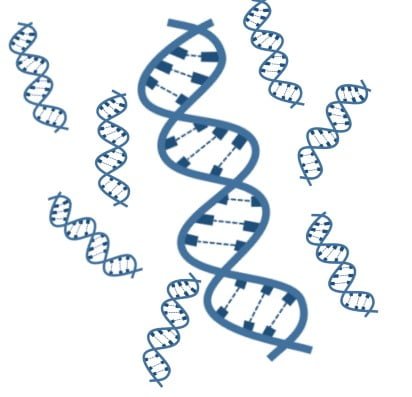 Bentuk DNA Menyerupai Tangga Terpilin
